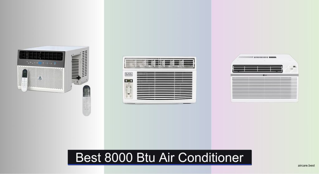 9 Best 8000 BTU Air Conditioners of 2026